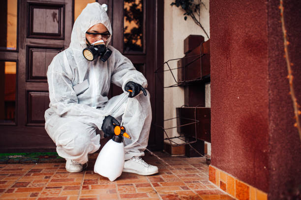 Reliable Bed Bug Control contractor in Bainbridge, GA by Nex Pest Control